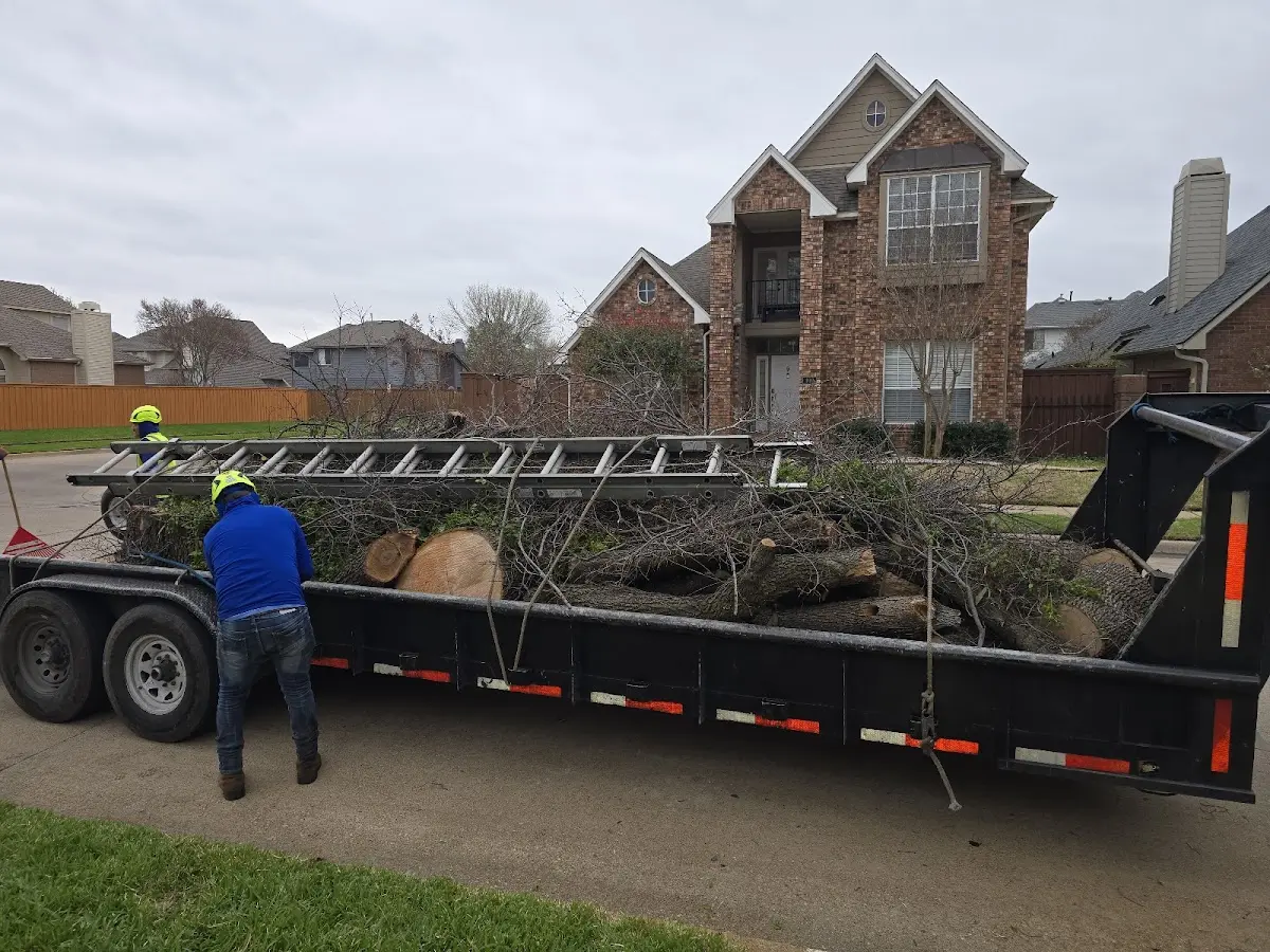 Expert Tree Pest Control with proper safety equipment in Granite Quarry